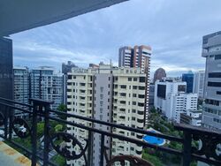 Cairnhill Plaza (D9), Apartment #490138521